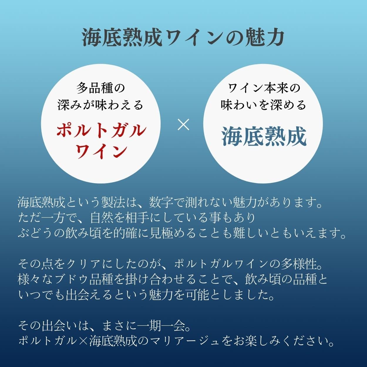 해저에서 숙성된 와인 - VinculoEterno 750ml <br><small>海底熟成ワイン - VinculoEternoフルボディ 赤 ヴィンテージ 750ml X 1本</small>